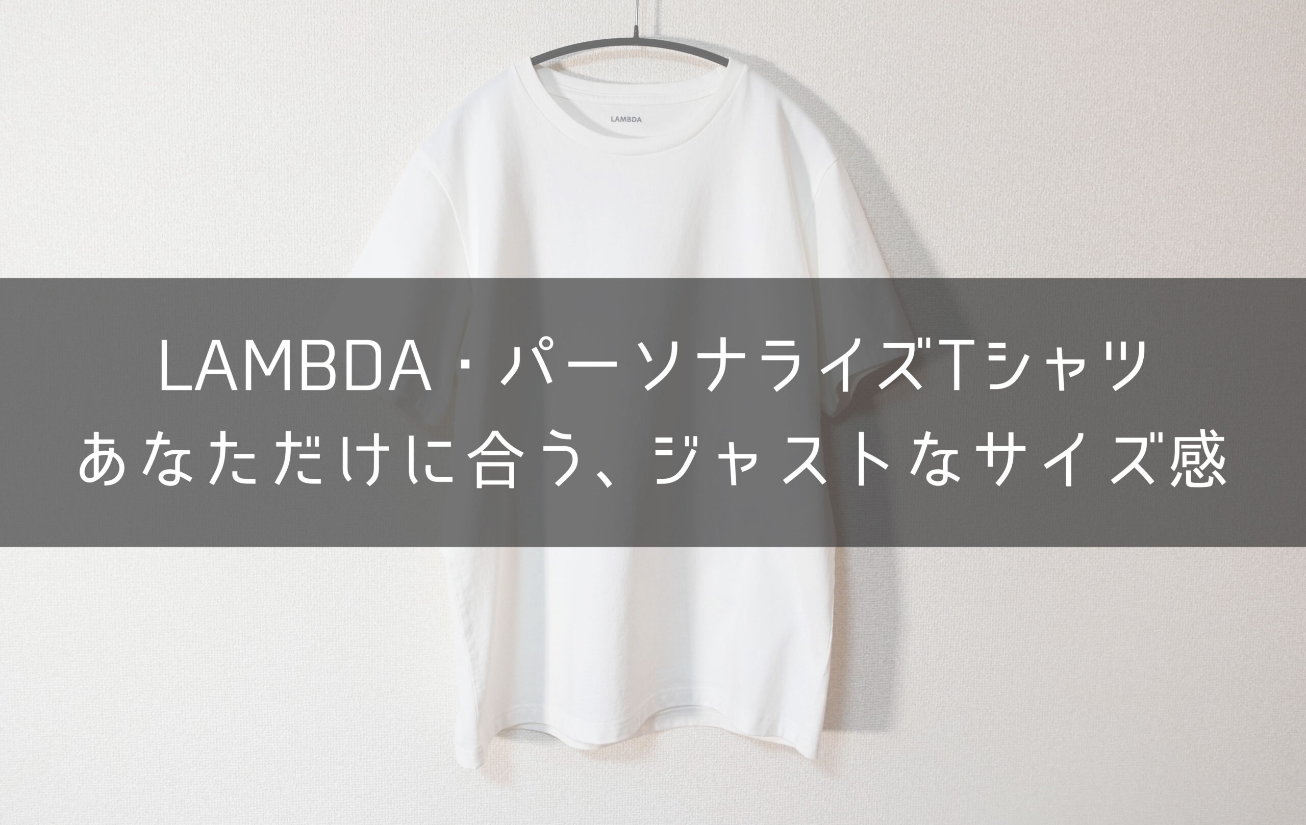 レビュー Lambdaで手に入る 最高にジャストサイズのtシャツ One Style Depot